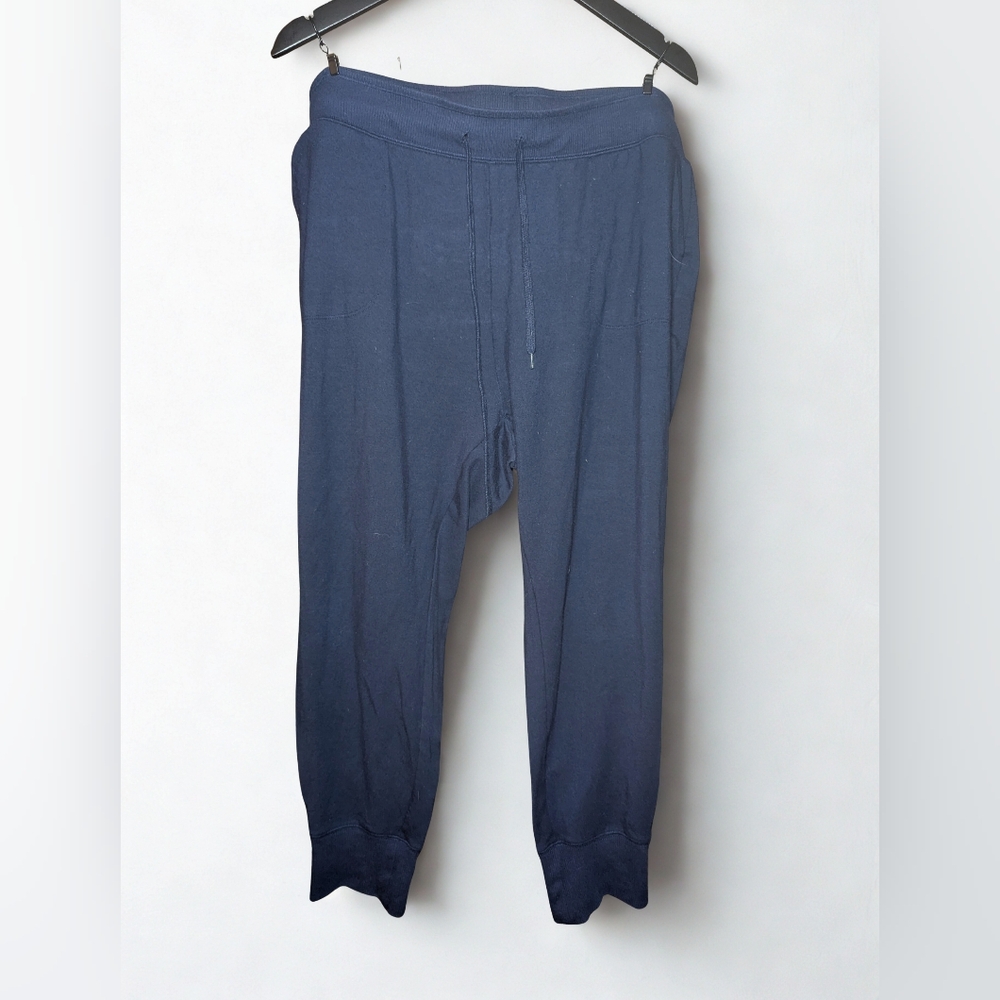 Torrid Navy Blue Jogger Sweatpants Size 3